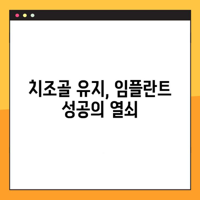 임플란트 수술 후 악골 손실 위험, 예방 및 관리 가이드 | 임플란트, 악골 흡수, 치조골 유지