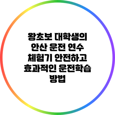 왕초보 대학생의 안산 운전 연수 체험기: 안전하고 효과적인 운전학습 방법