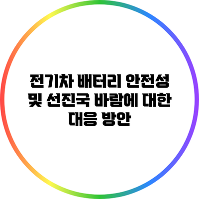 전기차 배터리 안전성 및 선진국 바람에 대한 대응 방안