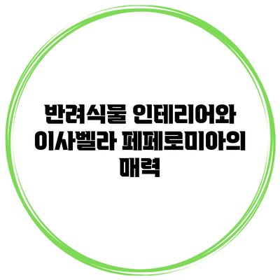 반려식물 인테리어와 이사벨라 페페로미아의 매력