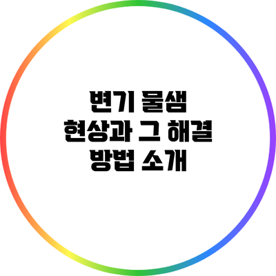 변기 물샘 현상과 그 해결 방법 소개
