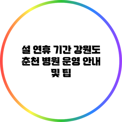 설 연휴 기간 강원도 춘천 병원 운영 안내 및 팁
